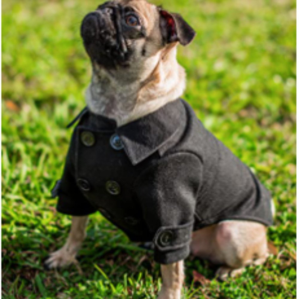 The Wallstreet Dog Peacoat sz XL Black NWT